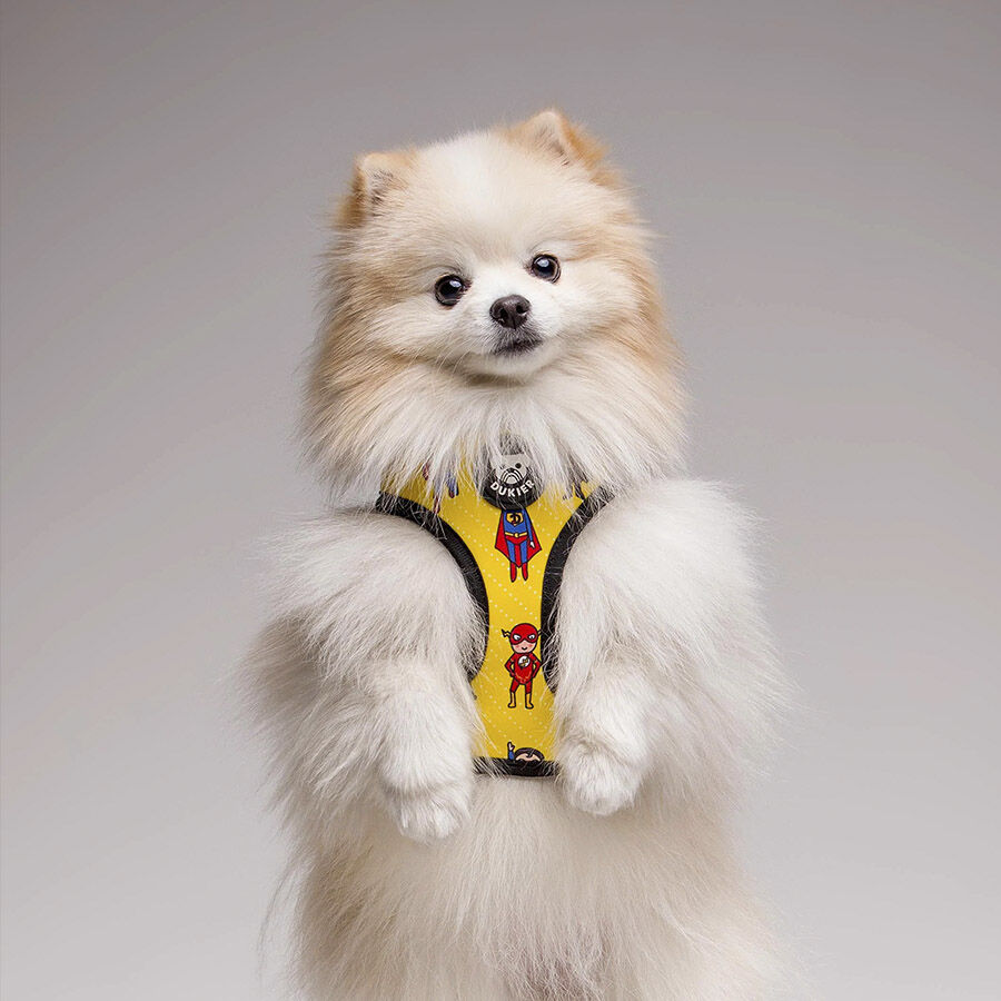 Dukier Superdog Arn&eacute;s Reversible Estampado Superh&eacute;roes para perros, , large Imagen numero 2