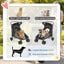 PawHut Carrito para Perros Gris, , large indicador imagen numero 4