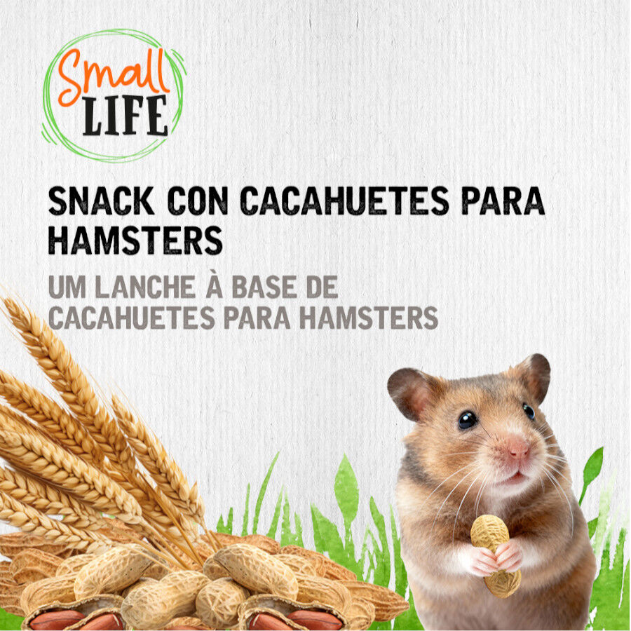 2 barritas Small Life Barritas Snack con Cacahuetes para h&aacute;mster, , large Imagen numero 4