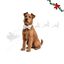 Wonder Christmas Pajarita Caramelo para perros, , large indicador imagen numero 1