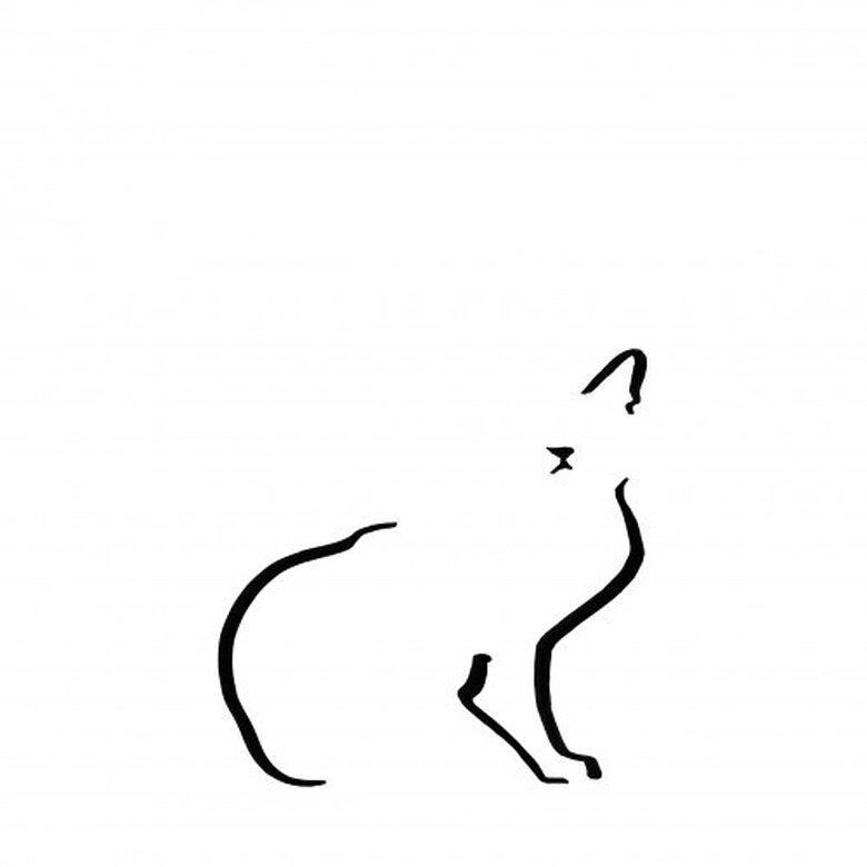 Ilustración de gato doméstico sin marco color Blanco, , large image number null
