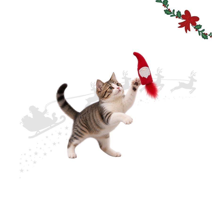 Wonder Christmas Teaser Pap&aacute; Noel Juguete para gatos, , large Imagen numero 1