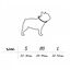 Collar regulable CaponeTheDog para perros estampado Frenchies, , large indicador imagen numero 2
