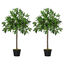 Outsunny 2 Plantas Artificiales de 90 cm de Altura Árboles de Laurel Decorativos con Maceta para Hogar Salón Uso en Interiores y Exteriores Verde, , large indicador imagen numero 1