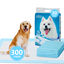 Nobleza - 30 x Empapadores Perros Alfombrilla higiénica de Entrenamiento para Perros. Ultraabsorbente 90cm*60cm., , large indicador imagen numero 11
