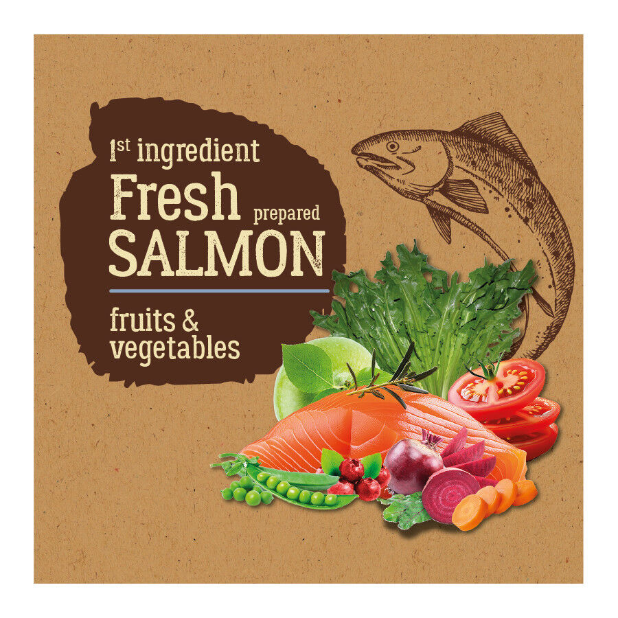 True Origins Pure Adult Mini Salmón pienso para perros thumbnail