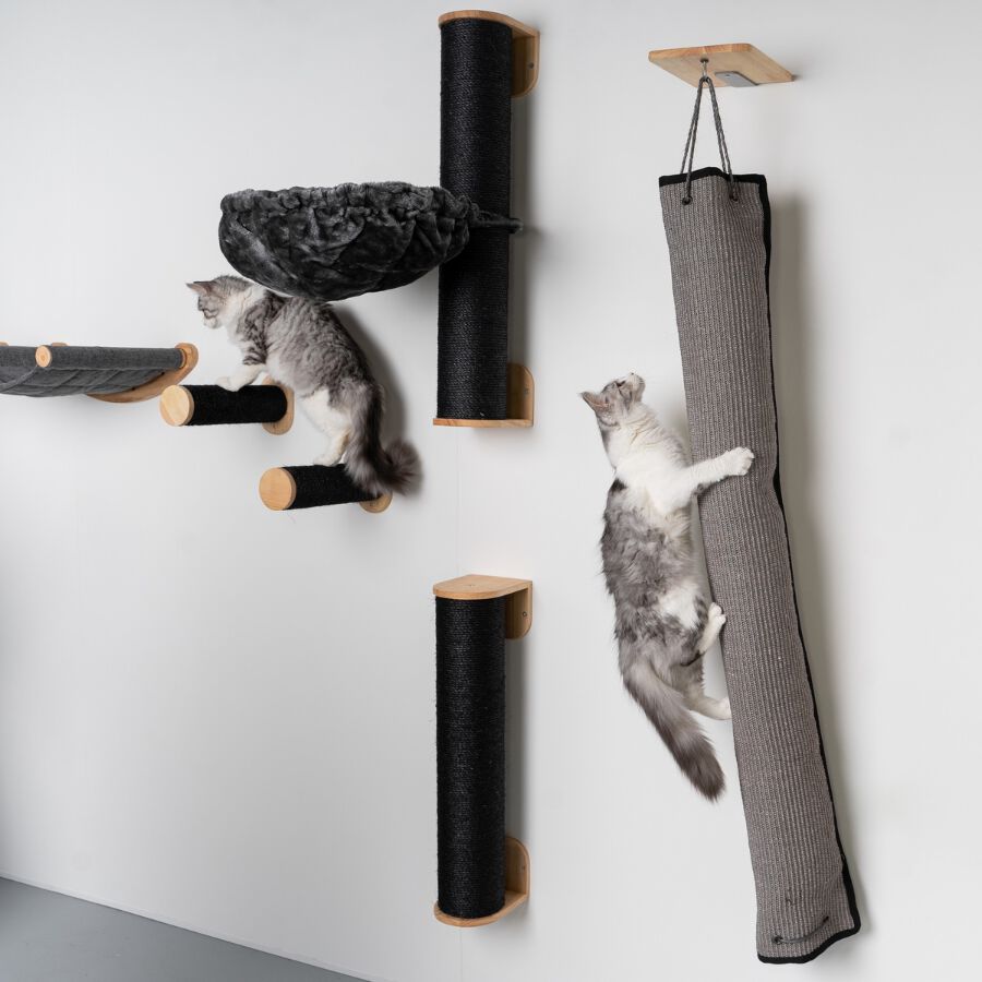 Muro Escalada Para Gatos - Bolsa de Escalada y Rascado, , large Imagen numero 3