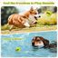 Nobleza Pelota Perro, 6 Pack Interactiva Pelotas Tenis para Perros, Pelota de Caucho Natural, Juguetes para Perros Duradera y Elástica para Pequeños y Medianos - 6.35cm, , large indicador imagen numero 4