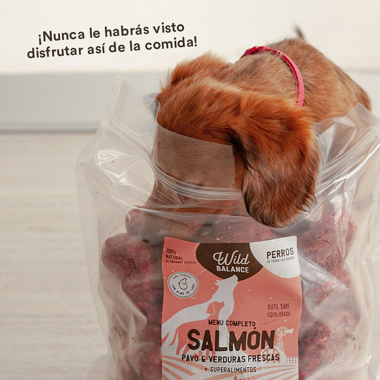 Pack de menú completo BARF para perros sabor Pavo y salmón, , large image number null