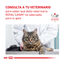 12 sobres x 85 g Royal Canin Veterinary Gastrointestinal sobre en salsa para gatos, , large indicador imagen numero 8