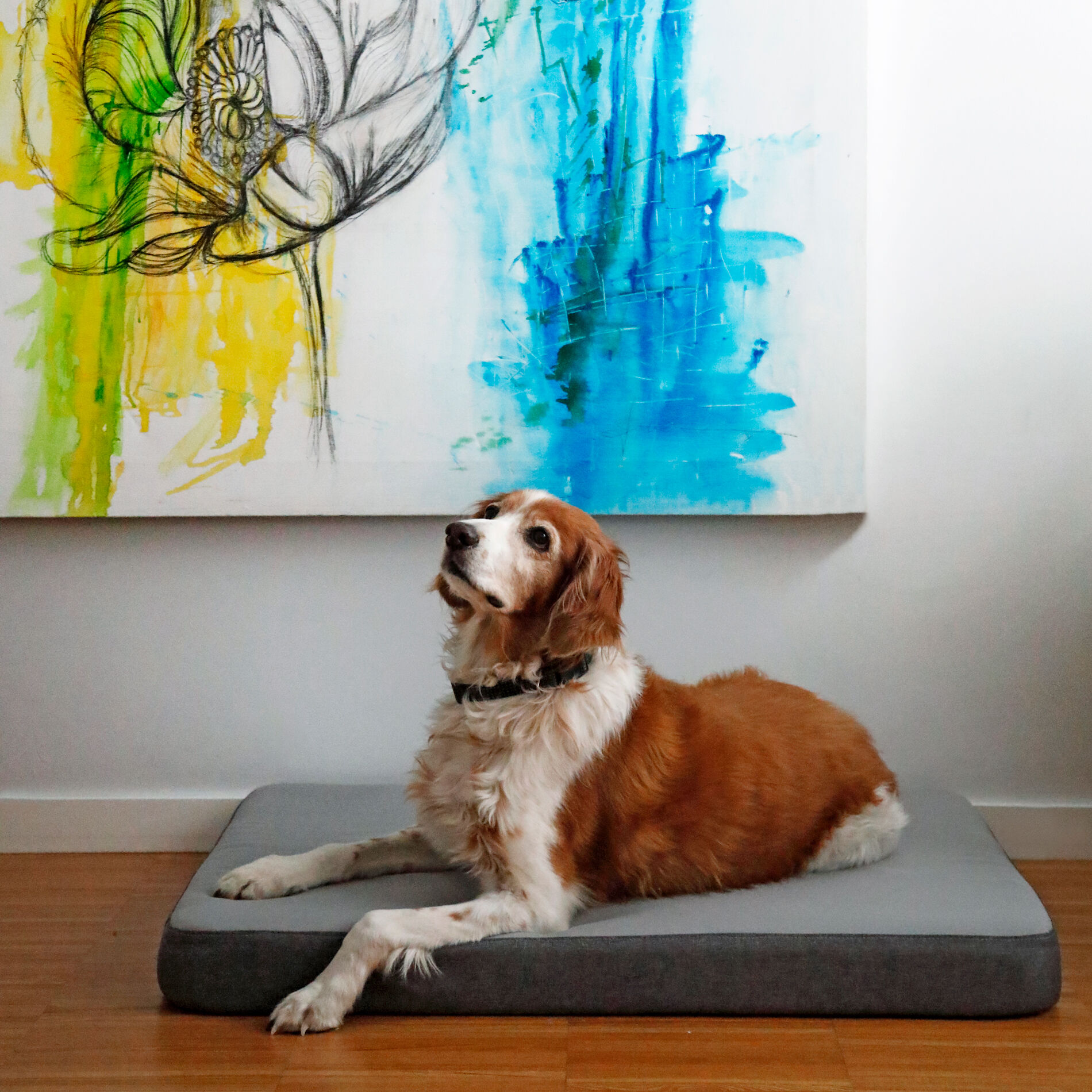 CAMA GRIS, , large Imagen numero 5