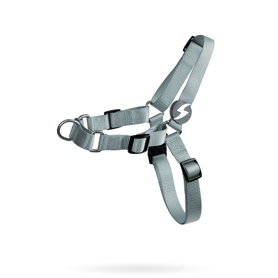 Arn&eacute;s Frontal Gris Grande, , large Imagen numero 1