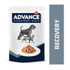 Advance Recovery Sobre para perros y gatos, , large image number null