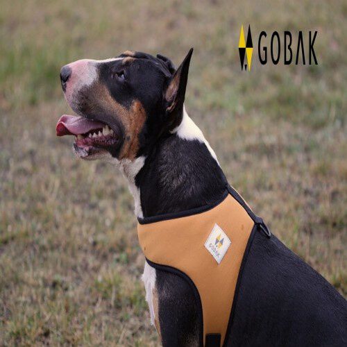 Arnés ergonómico Soft color Mostaza thumbnail