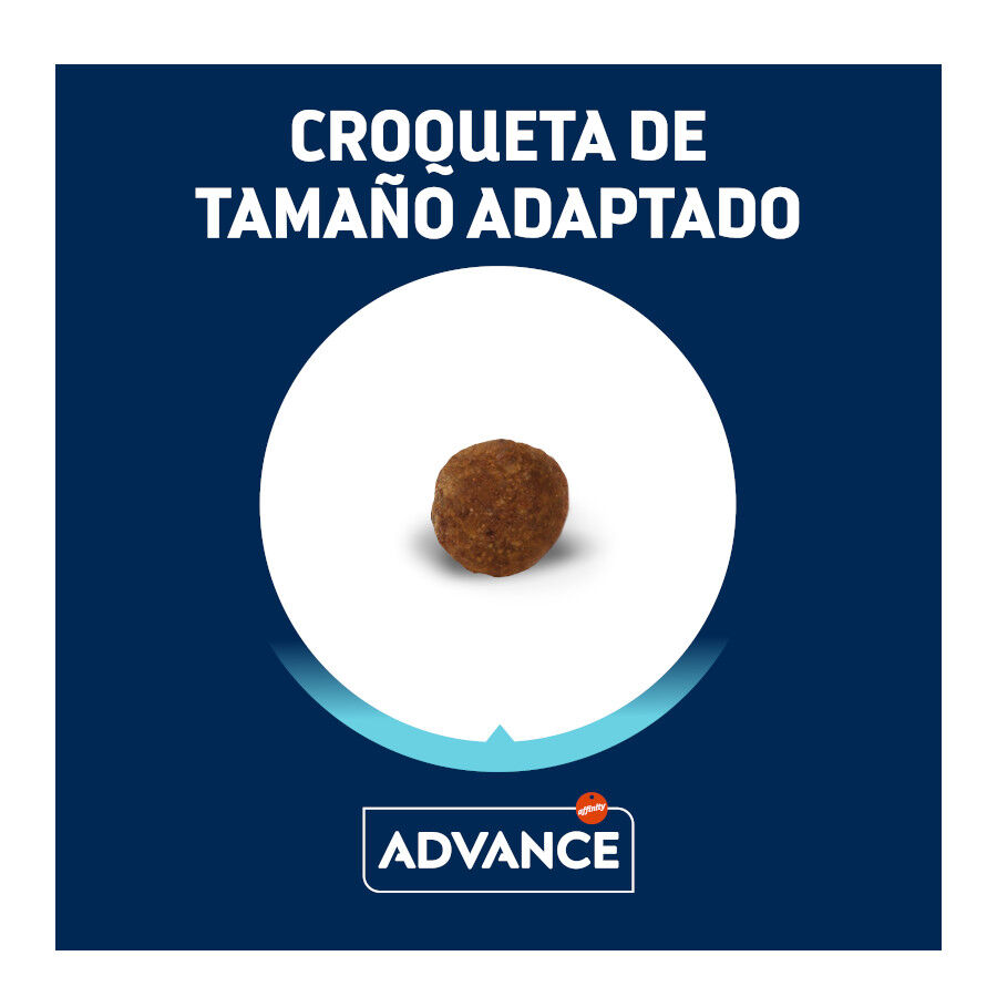 1.5 kg Advance Active Defense Yorkshire Terrier Adult pienso para perros, , large Imagen numero 3