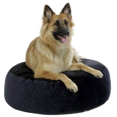 Cama de estilo puf para perros color Negro y Azul, , large Imagen numero 3