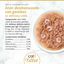 Catit Cuisine Fillet At&uacute;n con Gambas en Caldo, 75g, , large indicador imagen numero 3