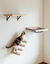 Althea Living - Escaleras de Escalada para Gatos Salitre, , large indicador imagen numero 5