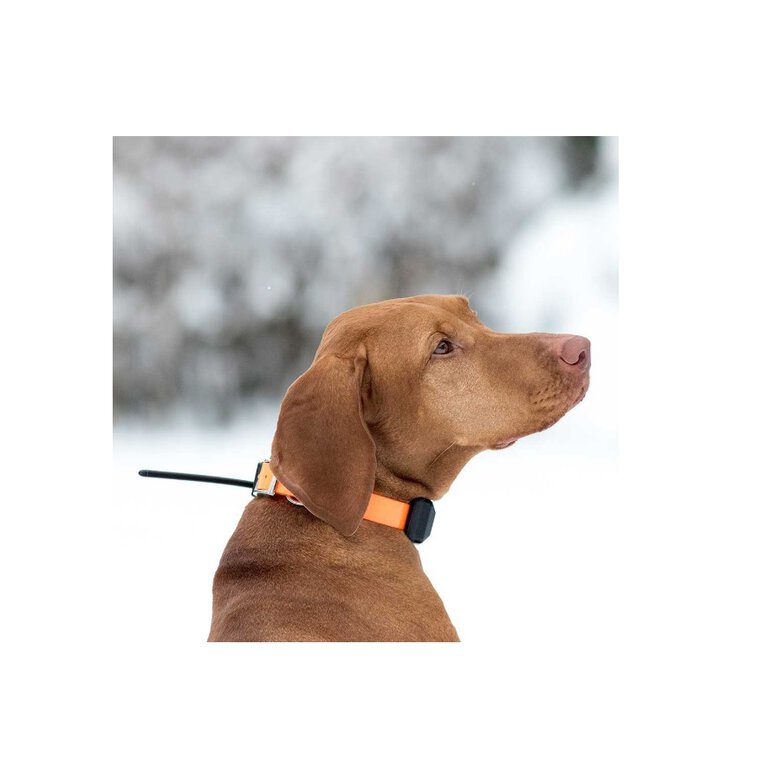 Localizador GPS para perros Dogtrace X30 color Naranja, , large image number null