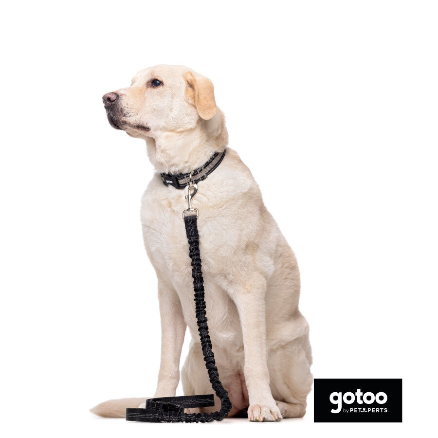 Gotoo Correa doble de nylon negra para perros thumbnail