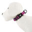 TK-Pet Neo Classic collar perro nylon neopreno morado indicador imagen numero 1