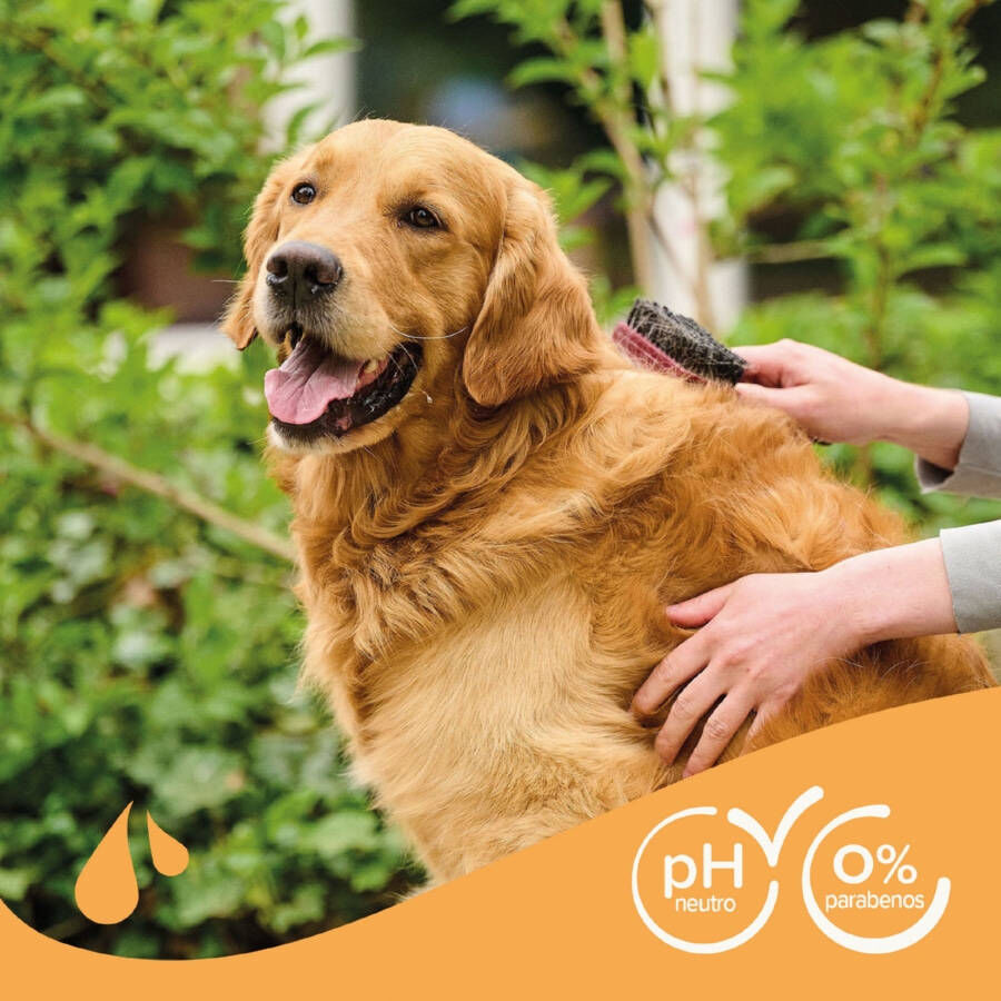 Beaphar Pelo Marr&oacute;n Champ&uacute; para perros, , large Imagen numero 6