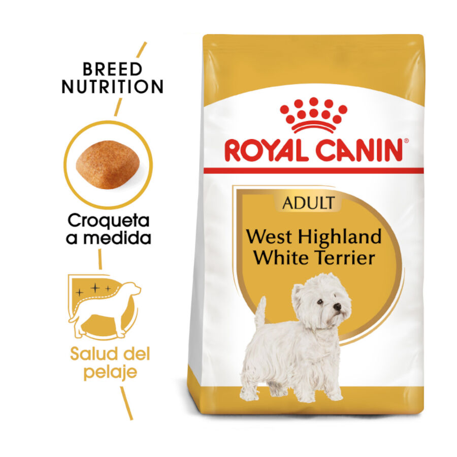 3 kg Royal Canin Adult White Terrier West Highland pienso para perros, , large Imagen numero 2
