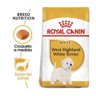 Royal Canin Adult White Terrier West Highland pienso para perros 