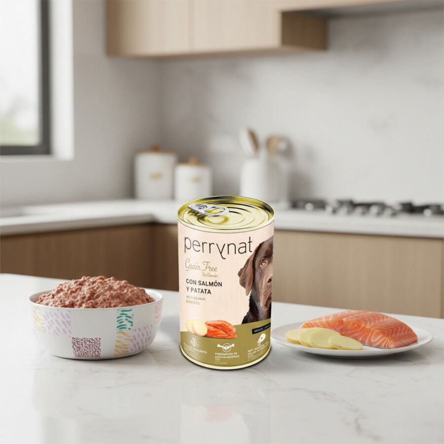 Dibaq Perrynat Lata Grain Free Salm&oacute;n y Patata para perros, , large Imagen numero 2