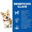 Hill's Science Plan Adult Small y Mini Cordero pienso para perros, , large indicador imagen numero 4