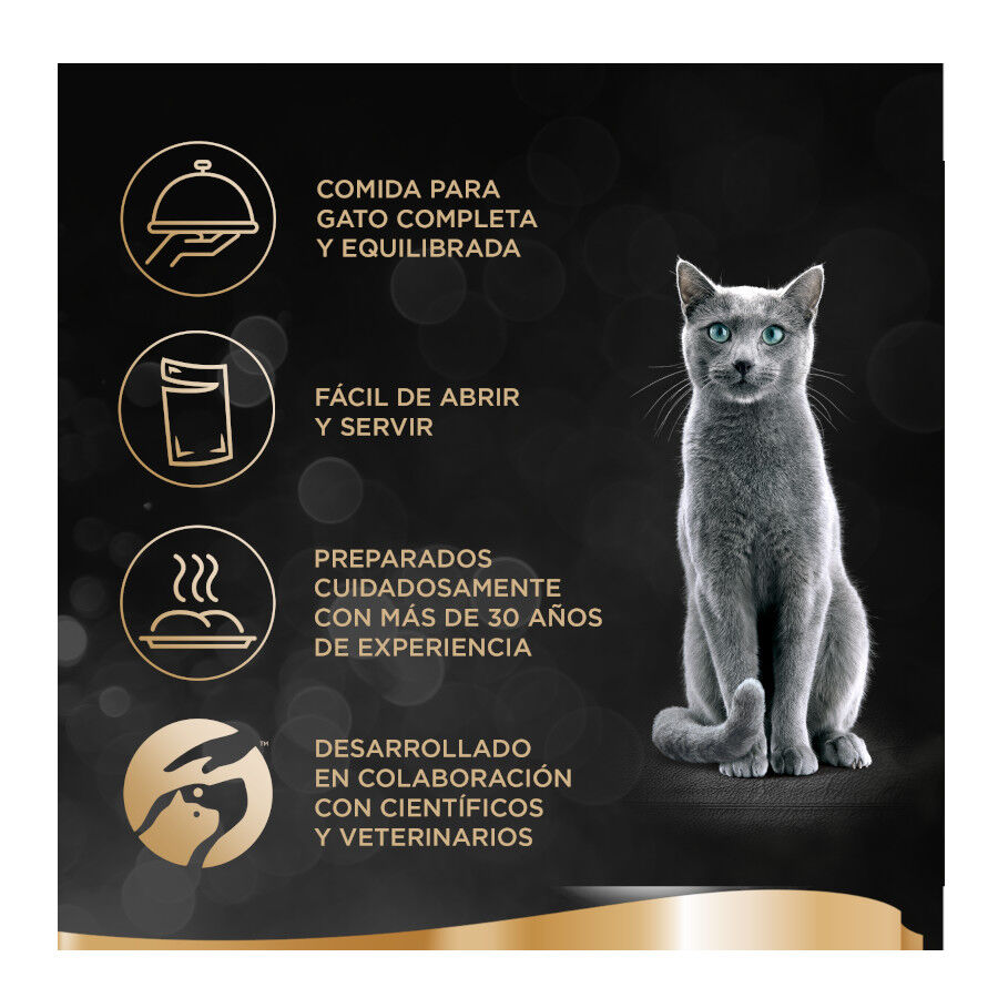 44 tarrinas x 85 g  Sheba Finesse Pollo y Salm&oacute;n en pat&eacute; tarrinas para gatos, , large Imagen numero 3