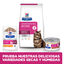 12 sobres x 85 g Hill's Prescription Diet Feline GI Biome Digestive Care Pollo y Verduras Sobre en salsa, , large indicador imagen numero 4