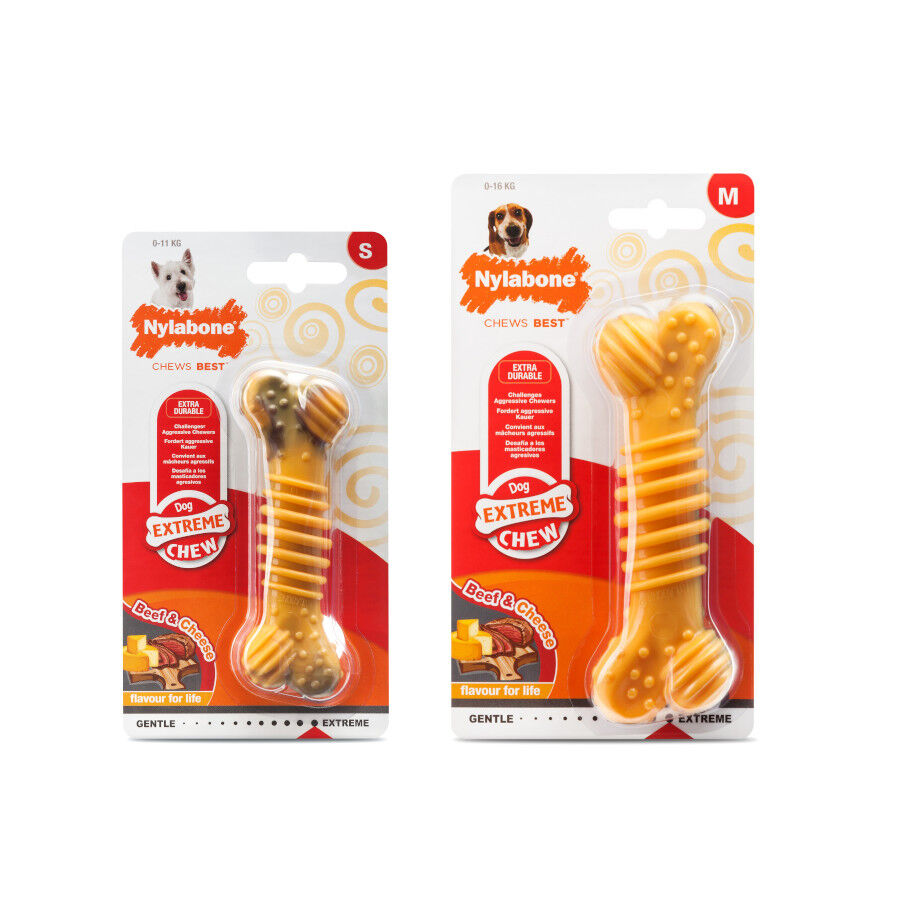 Nylabone Extreme Chew Texture Hueso Mordedor Resistente para perros thumbnail