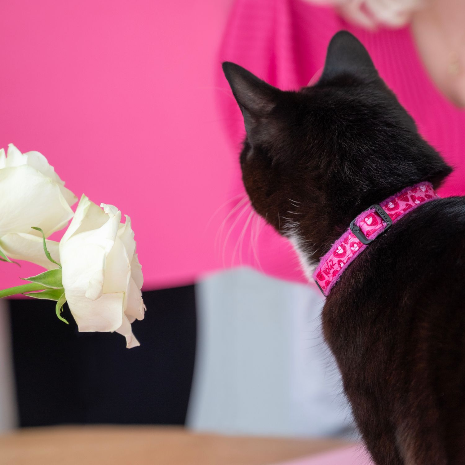 COLLAR PARA GATO FASHIONCAT ESTAMPADO ROSA ROGZ AJUSTABLE 20-31cm, , large Imagen numero 5