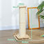 PawHut Poste Rascador para Gatos 87 cm Rascador para Gatos Arañador para Gatos con Bola Colgante Juguete de Pelota de Pista y Poste de Sisal Roble, , large indicador imagen numero 3