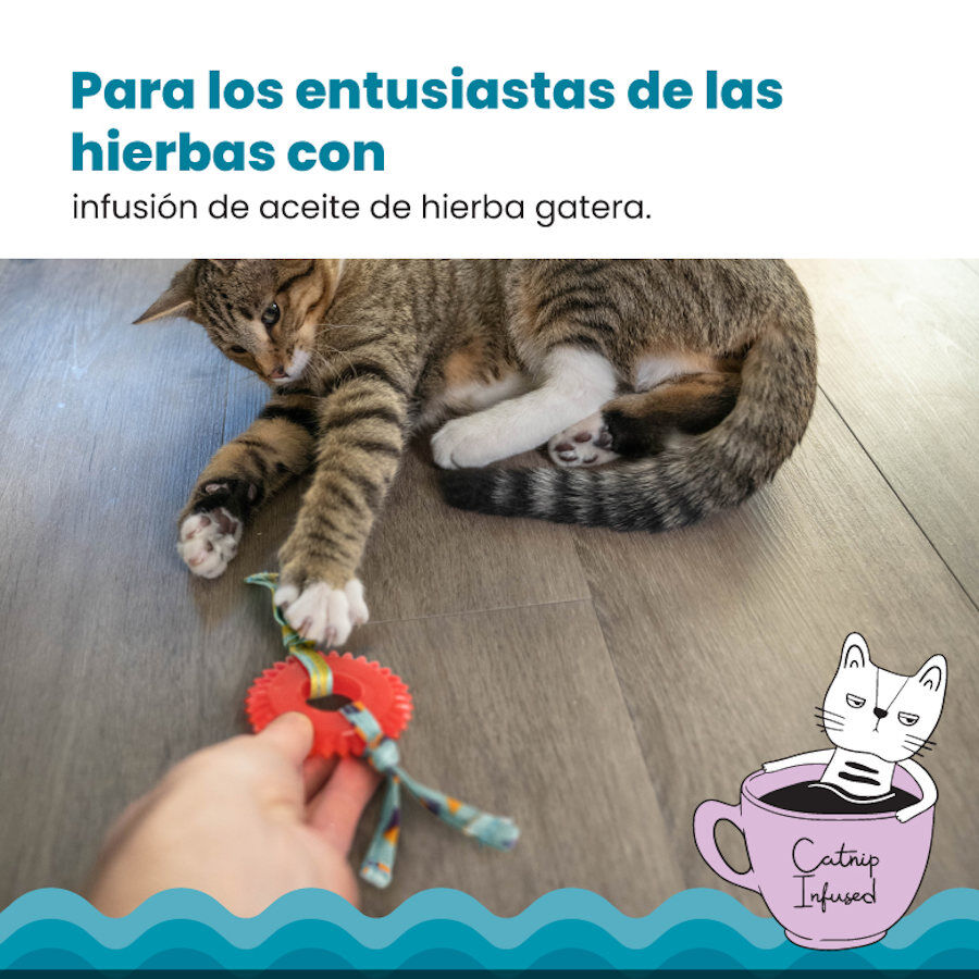Catstages Kitty Chew Roja Rueda Mordedor para gatos, , large Imagen numero 4