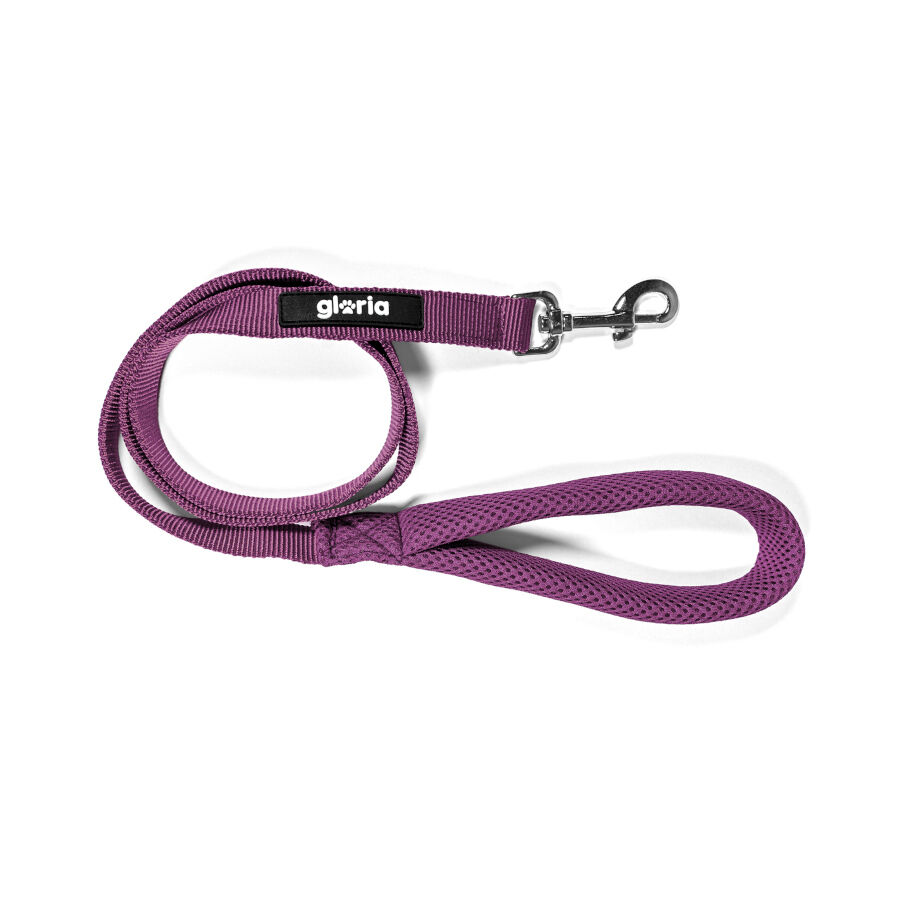 Gloria Air Mesh Trek Star Correa Morada para perros, , large Imagen numero 1