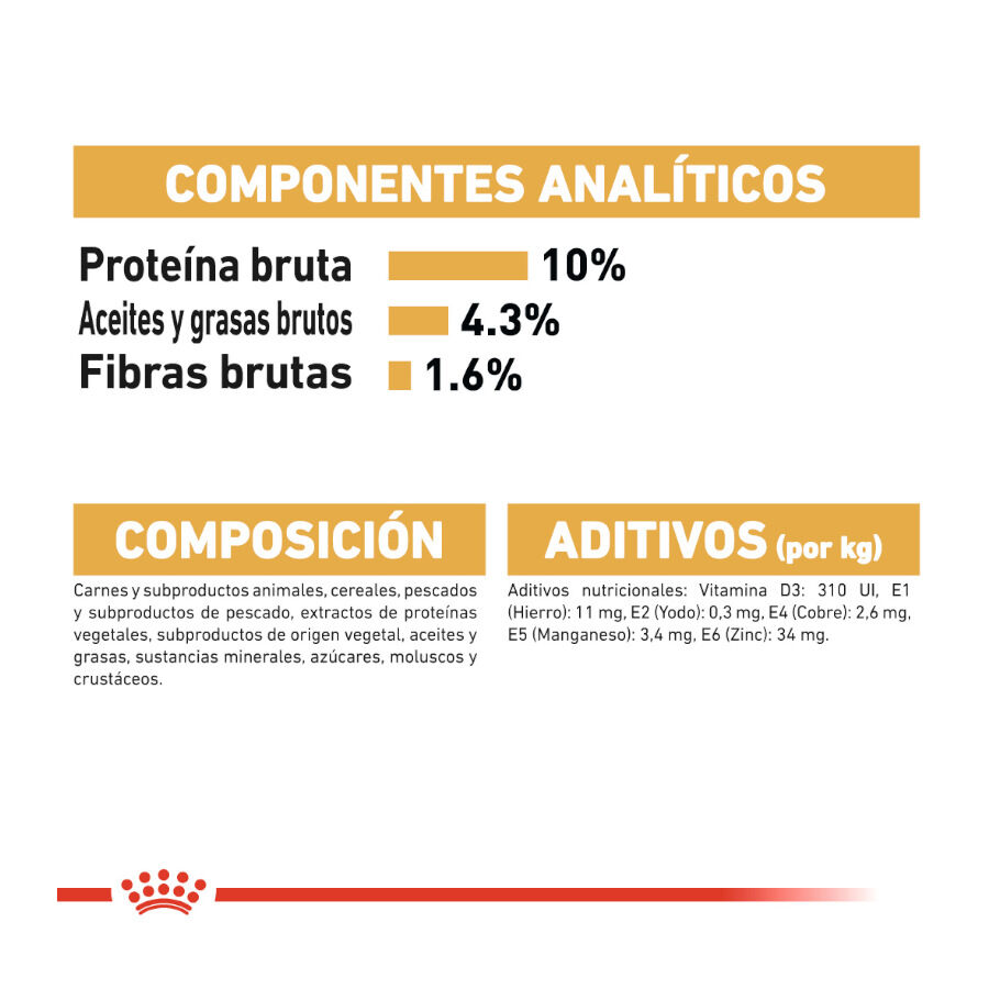 Royal Canin Maine Coon sobres para gatos thumbnail