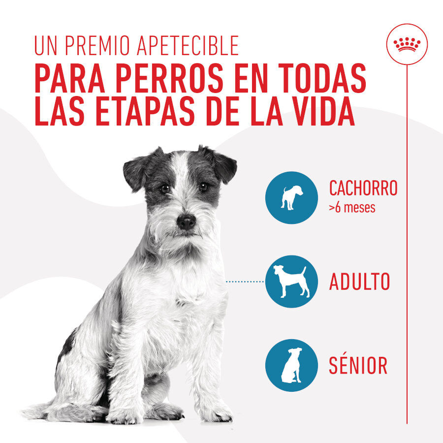 Royal Canin Training Treats Snacks para perros thumbnail