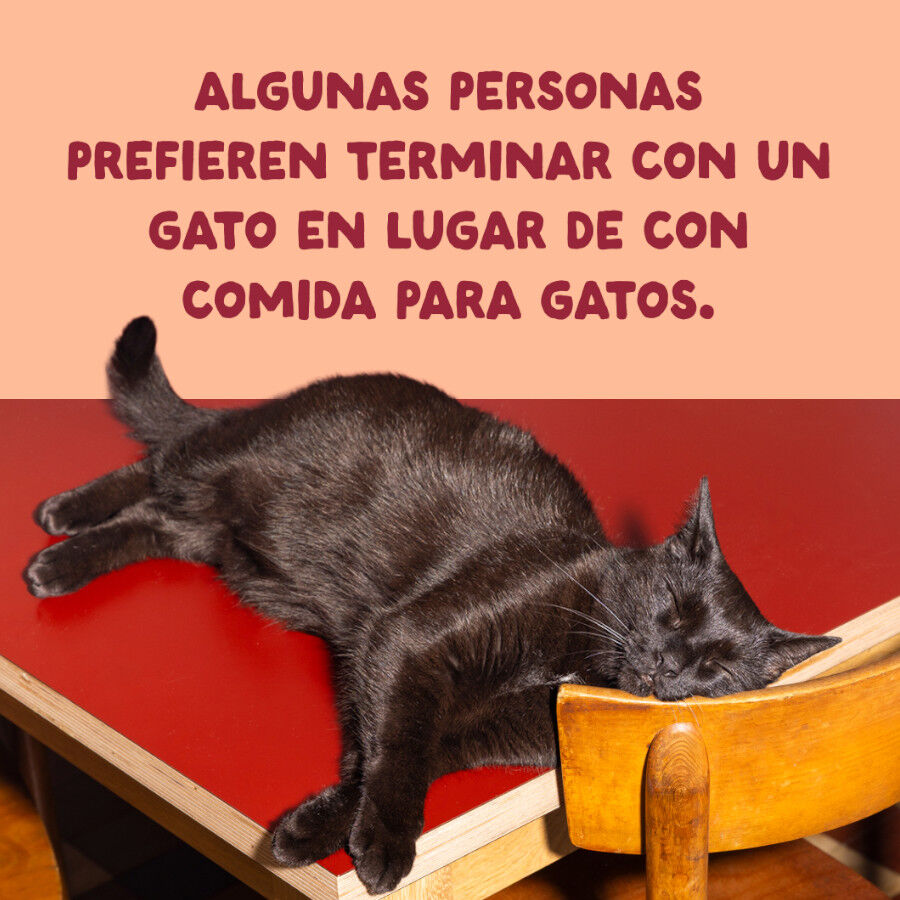 70 g Edgard & Cooper Filetes de Pollo Lata para gatos, , large Imagen numero 9