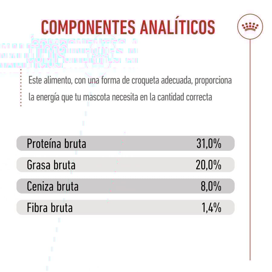 Royal Canin Mini Puppy pienso para perros thumbnail