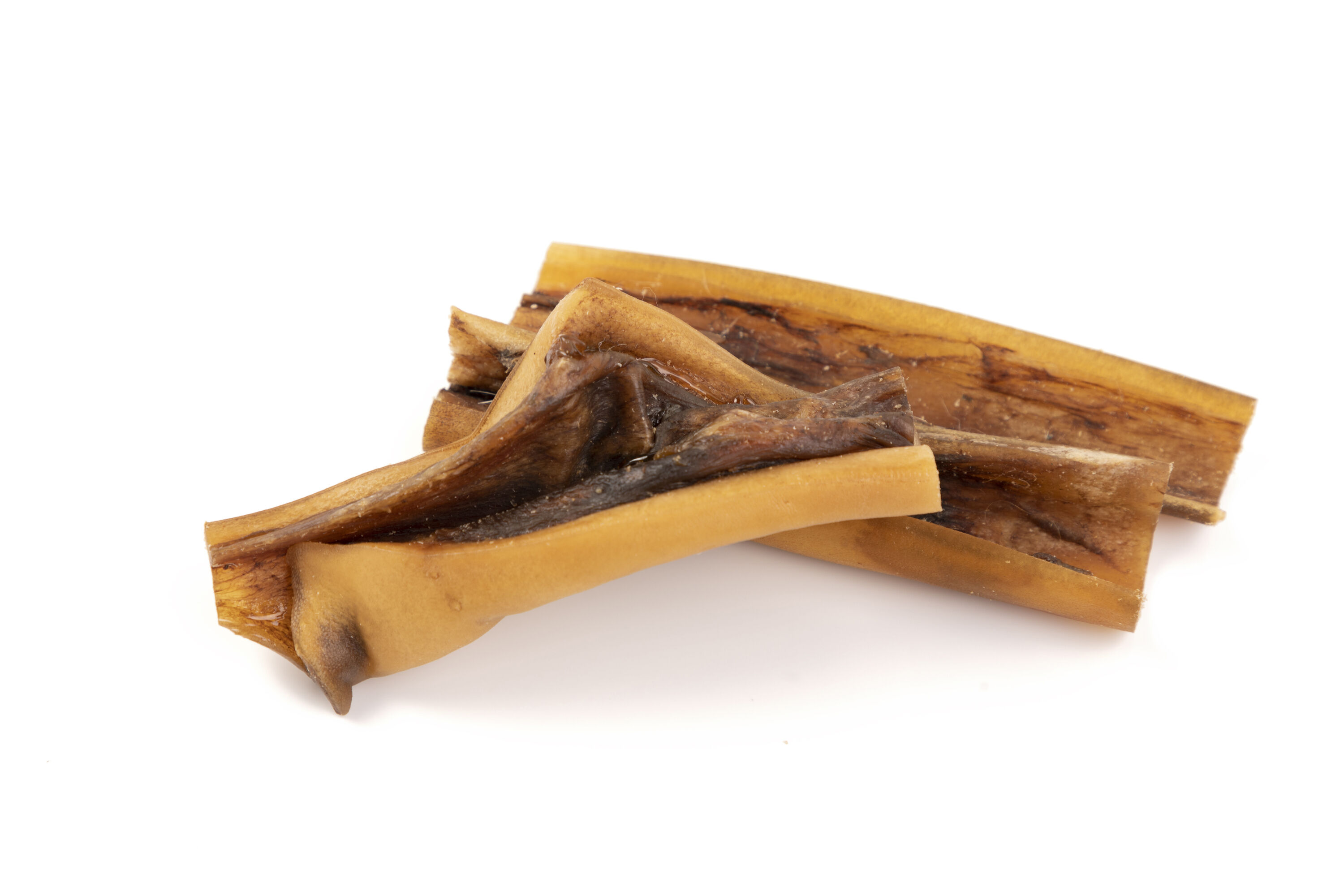 BIMORDISCOS Caravaca para perros thumbnail