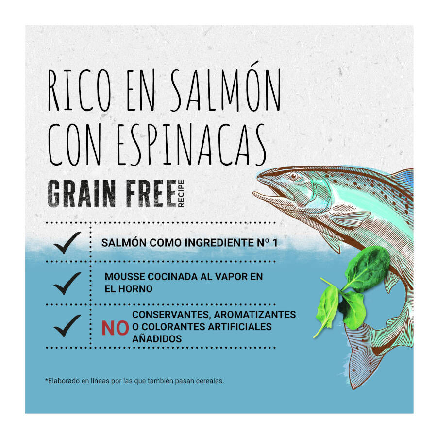 85 g Beyond Grain Free Salm&oacute;n lata paras gatos, , large Imagen numero 2