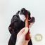 BIMORDISCOS Sticks de salmón para perro, , large indicador imagen numero 3