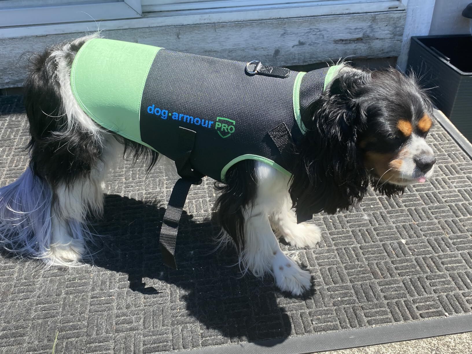 Chaleco de Protecci&oacute;n Anti Mordida para Perros &ndash; Impermeable &ndash; Reflectante - Verde, , large Imagen numero 5