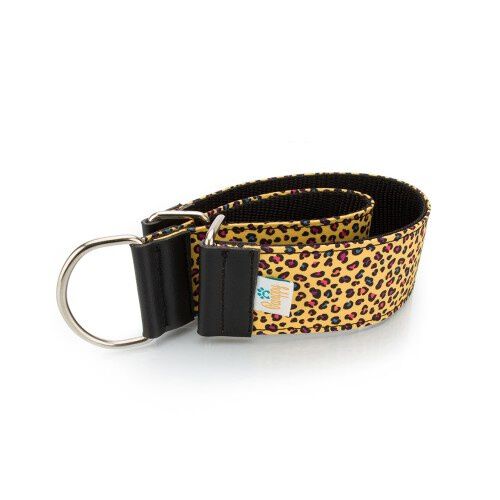 Collar Pamppy Galgo Speedy Leopardo Amarillo para perros, , large Imagen numero 1