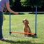 Valla de agilidad para perros color Azul y Naranja, , large indicador imagen numero 4