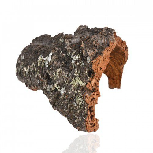 Cueva de corcho por naturaleza para terrario, , large Imagen numero 1