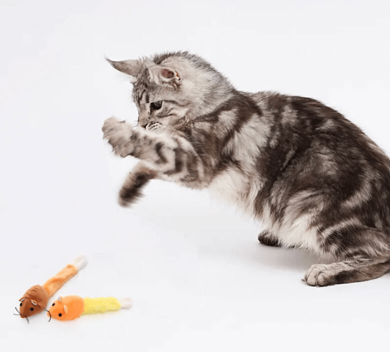 Fpets Juguete naranja con hierba gatera para ratones thumbnail