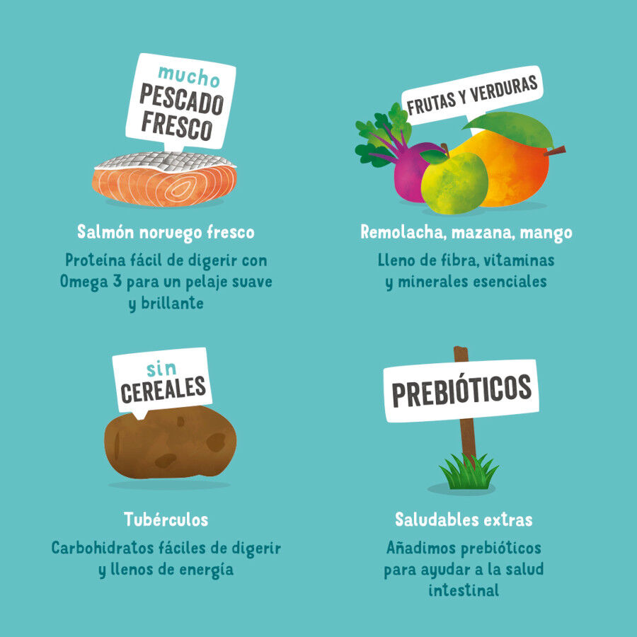 Edgard &amp; Cooper Adult Salmón pienso para perros thumbnail